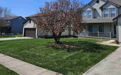 Photo of Shawn R.'s yard after getting lawn care in Reynoldsburg, OH