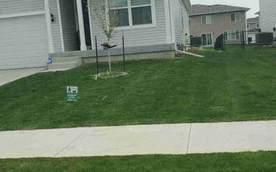 Photo of Lisa J.'s yard after getting lawn care in Ankeny, IA