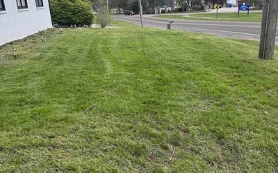 Photo of Priscilla R.'s yard after getting lawn care in Lebanon, PA