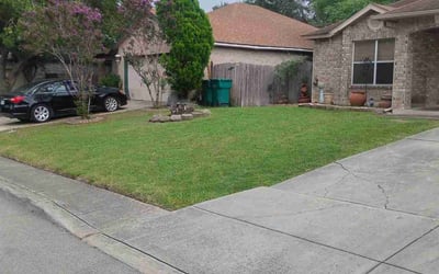 Photo of Sean J.'s yard after getting lawn care in Daytona Beach, FL