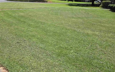Photo of Angela P.'s yard after getting lawn care in Hermitage, PA