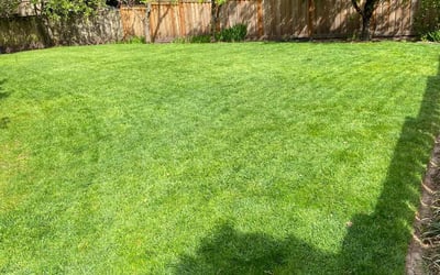 Photo of Niccole J.'s yard after getting lawn care in Aloha, OR