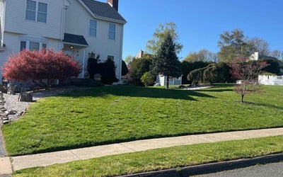 Photo of Solomon P.'s yard after getting lawn care in Vernon Rockville, CT