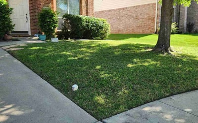 Photo of Rhonda K.'s yard after getting lawn care in Alvarado, TX