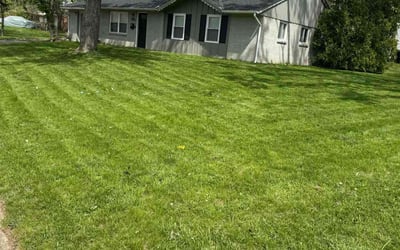 Photo of Kasch M.'s yard after getting lawn care in Franklin, OH