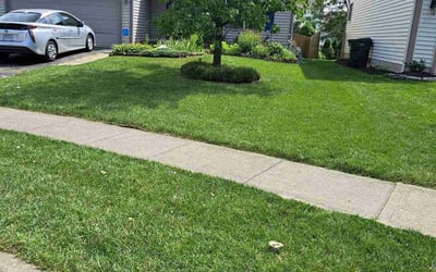 Photo of Mahantesh K.'s yard after getting lawn care in Lewis Center, OH