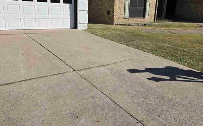 Photo of Brian H.'s yard after getting lawn care in Carlsbad, CA