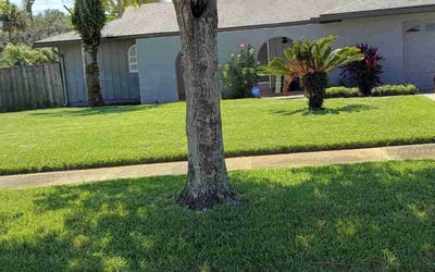 Photo of Kendall M.'s yard after getting lawn care in Lakewood, OH
