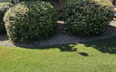 Photo of Joan F.'s yard after getting lawn care in Danvers, MA