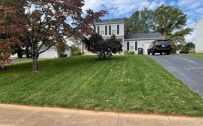 Photo of Kamran G.'s yard after getting lawn care in Great Falls, VA