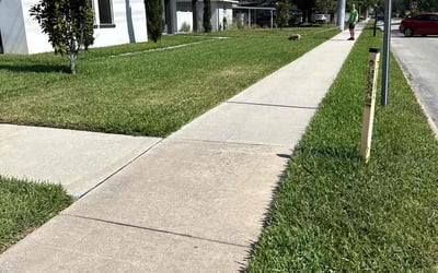Photo of Nikki E.'s yard after getting lawn care in Tampa, FL