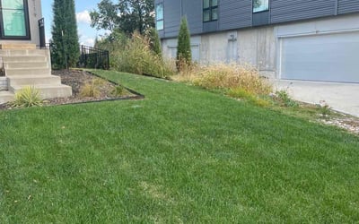 Photo of Sean K.'s yard after getting lawn care in Billings, MT