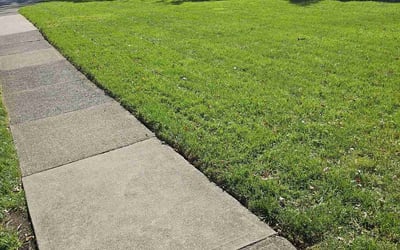 Photo of Jeni L.'s yard after getting lawn care in Red Bank, NJ