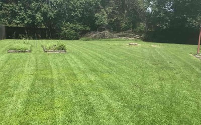 Photo of Amber E.'s yard after getting lawn care in Carrollton, VA