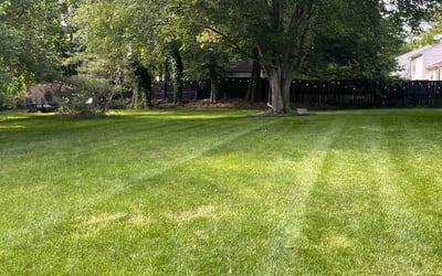 Photo of Erica C.'s yard after getting lawn care in Hartsville, SC