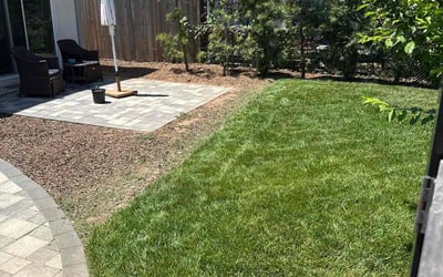 Photo of Cecily D.'s yard after getting lawn care in New Orleans, LA