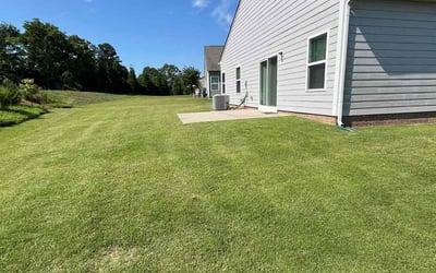 Photo of Jeffrey B.'s yard after getting lawn care in Canton, NC