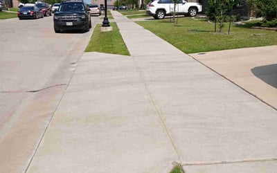 Photo of Beth P.'s yard after getting lawn care in Belleview, FL