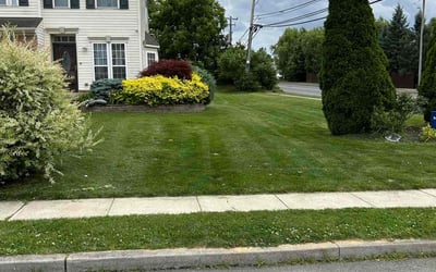 Photo of William G.'s yard after getting lawn care in Hazleton, PA