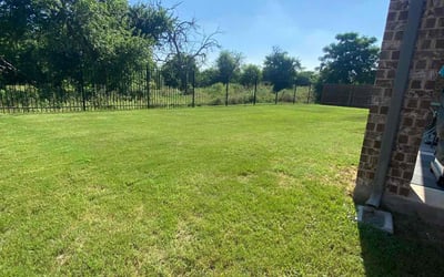 Photo of Johanna C.'s yard after getting tree care in Colville, WA