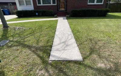 Photo of Dameon J.'s yard after getting lawn care in Winnsboro, SC