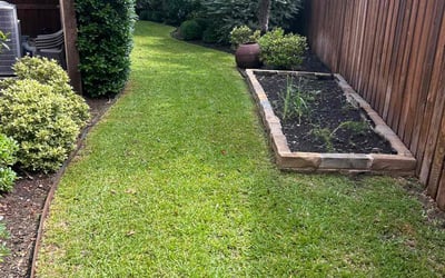 Photo of March M.'s yard after getting lawn care in Antelope, CA
