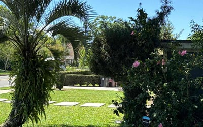 Photo of Brett H.'s yard after getting lawn care in Princeton, TX