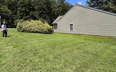 Photo of Sean M.'s yard after getting lawn care in Clinton, CT
