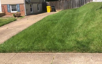 Photo of David W.'s yard after getting lawn care in Charlotte, NC