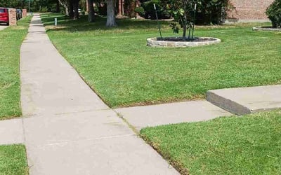 Photo of Larry G.'s yard after getting lawn care in Lewes, DE