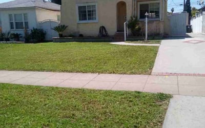 Photo of Savit M.'s yard after getting lawn care in Alhambra, CA