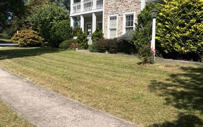 Photo of Dannee S.'s yard after getting lawn care in Hummelstown, PA