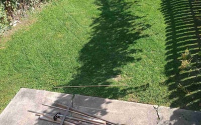 Photo of Tim H.'s yard after getting lawn care in Uniontown, PA
