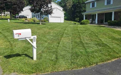 Photo of Brandon P.'s yard after getting lawn care in Halfmoon, NY