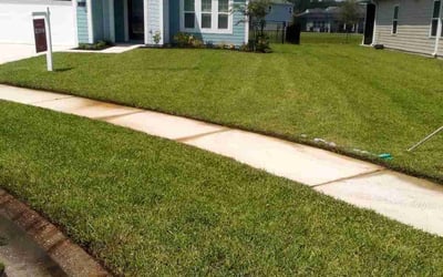 Photo of Anastasia S.'s yard after getting lawn care in Bensalem, PA