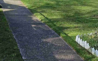 Photo of Victor R.'s yard after getting lawn care in West Islip, NY