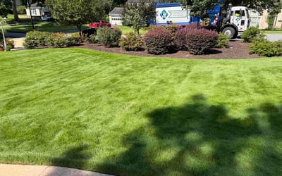 Photo of Brandon B.'s yard after getting lawn care in Kansas City, MO