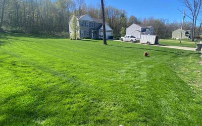 Photo of Jeffrey H.'s yard after getting lawn care in Lowell, MI