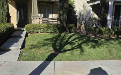 Photo of Ben V.'s yard after getting lawn care in Temecula, CA
