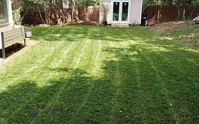 Photo of Kelley W.'s yard after getting lawn care in Raleigh, NC