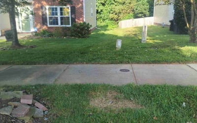 Photo of Lisa J.'s yard after getting lawn care in Mcminnville, OR