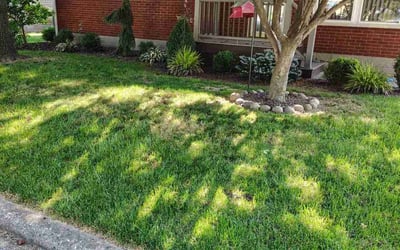 Photo of Landon W.'s yard after getting lawn care in Clarksville, IN
