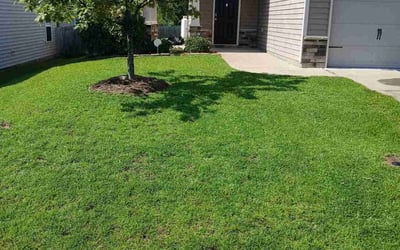 Photo of John P.'s yard after getting lawn care in Clayton, NC