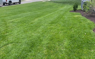 Photo of Mandy H.'s yard after getting lawn care in Berlin, MD