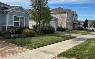 Photo of Ralph H.'s yard after getting lawn care in Miami Gardens, FL