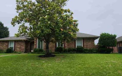 Photo of Julie D.'s yard after getting lawn care in Tacoma, WA