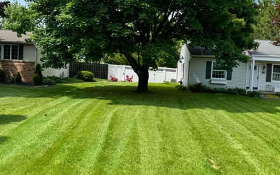 Photo of Kerra H.'s yard after getting lawn care in Arlington, VA