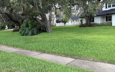 Photo of Melody B.'s yard after getting lawn care in La Marque, TX