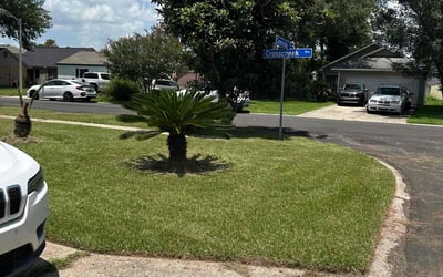 Photo of Diana G.'s yard after getting lawn care in Asheboro, NC