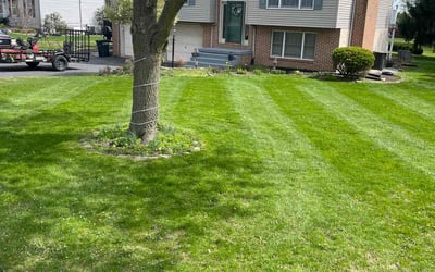 Photo of Heather D.'s yard after getting lawn care in Lancaster, PA